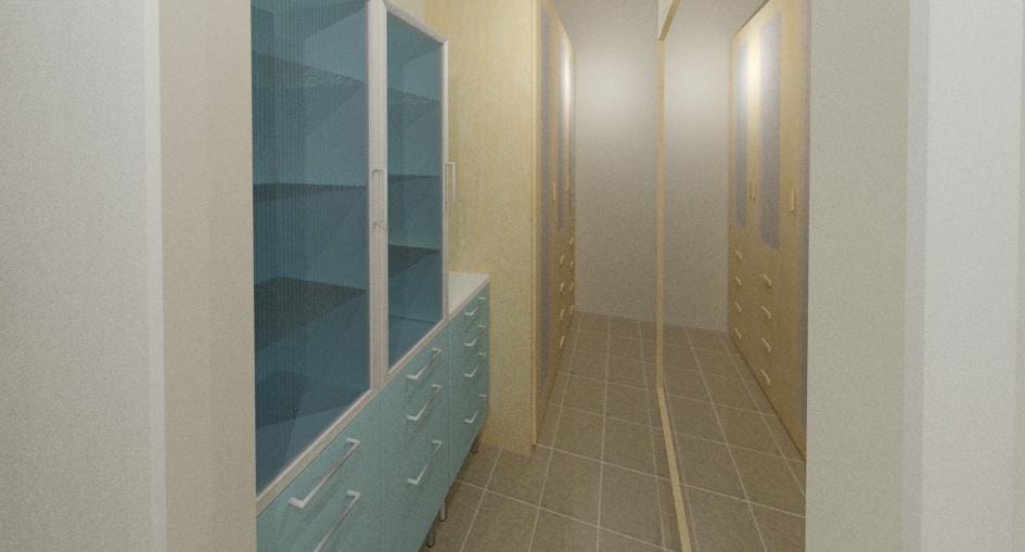WALK-IN CLOSET